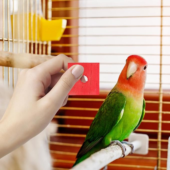 NOLITOY 100Pcs Wooden Parrot Chewing Toy Blocks with Hole Bird Bite Toy for Cockatiels Parakeets Macaws African Grey DIY Wood Chip Design for Pet Entertainment and Skill Development