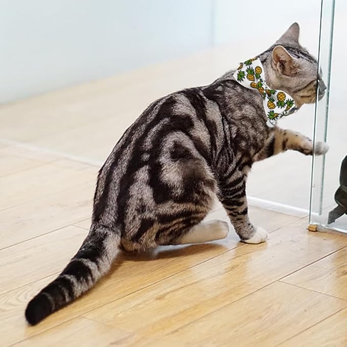 Fruit Cat Collar with Bow Tie and Bell 3 Pack Watermelon Strawberry and Pineapple Breakaway Bowtie Kitten Collars for Boys Girls Cats
