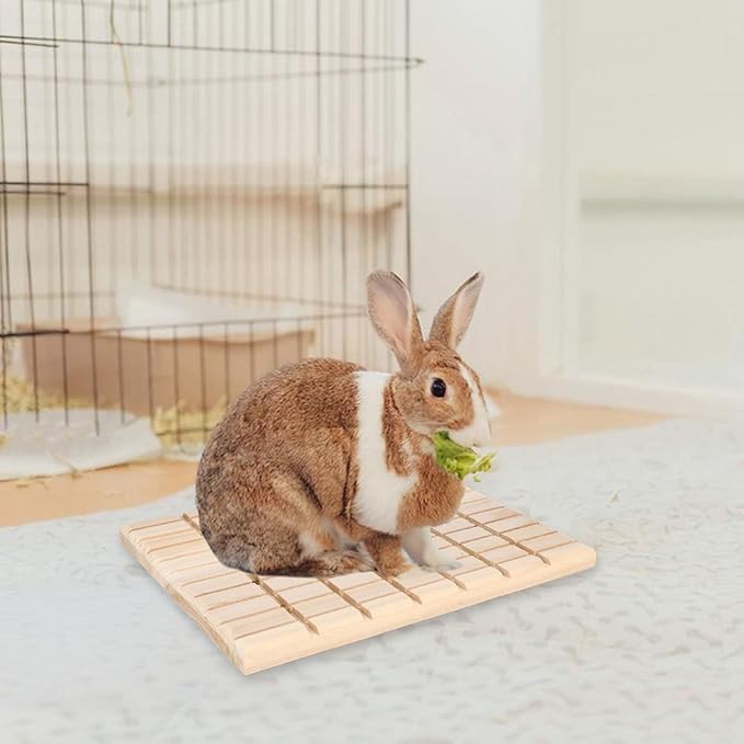 Hypeety Rabbit Scratching Pad Antiskid Edible Natural Wood Board Toy for Small Animals Bunny Chinchilla Guinea Pig Rabbit Hedgehog Hamster