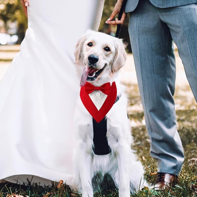 Dog Wedding Bandana, Formal Dog Tuxedo Adjustable Pet Collar with Bow, Small, Medium and Large Wedding Clothing, Birthday Gifts for Dogs (Large, Red)