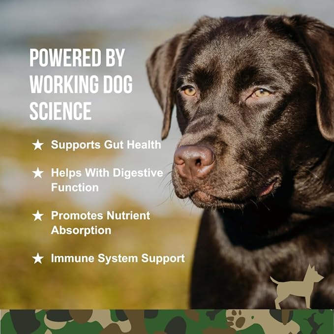 Operation Good Boy Probiotics for Dogs, Digestive Health Supplement for Pets, Daily Probiotic Chews – 90 Soft Treats, Natural Ingredients, Veteran Owned - Beef Flavored