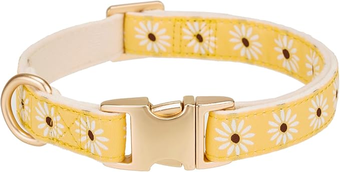 Woven Dog Collar with Metal Buckle Adjustable Jacquard Retro Dog Collars for Small Medium Large Dogs(Daisy,L)