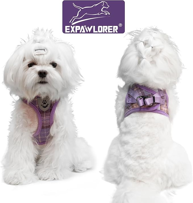 EXPAWLORER Classic Plaid Puppy Harness - Small Dog Harness and Leash Set - Dog Collar and Leash Set with AirTag Holder, Soft Padded Step in Dog Vest Harness No Pull Reflective for Outdoor, Purple XS
