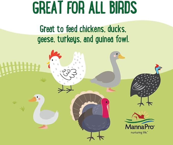 Manna Pro Farmhouse Favorites Critter Combo Crunch Poultry Treat - Protein Poultry Treat - Encourages Natural Foraging Behavior - 100% Natural Blend of Soldier Fly Larvae, Mealworms & Shrimp - 2lb Bag
