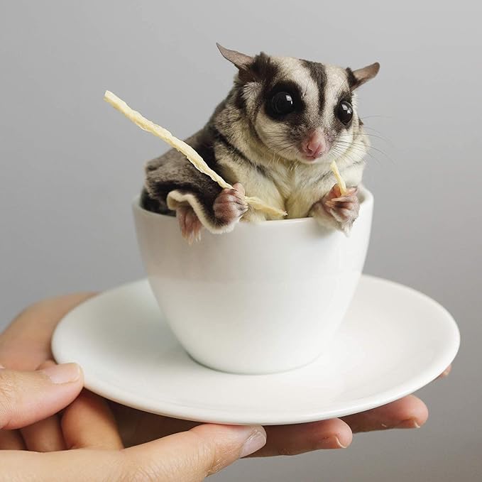 Exotic Nutrition Omega YUMS Fish Stick Treat for Sugar Gliders | All Natural & Made with Real Fish (1)