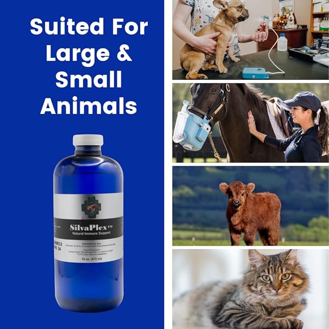 Natural Immune Support Solution for Dogs, Cats, Horses, Small Animals, 100 PPM Chelated Silver (16 oz)