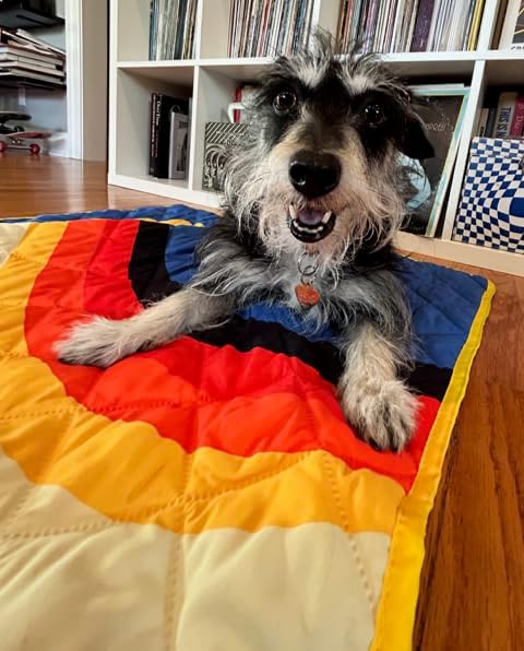 Waterproof Blanket, 29" x 34” - Seat Cover for Dogs and Pets. Ideal for Small and Medium Pet Crate Blankets, Settle mat, Diaper Changing and Playmat for Babies