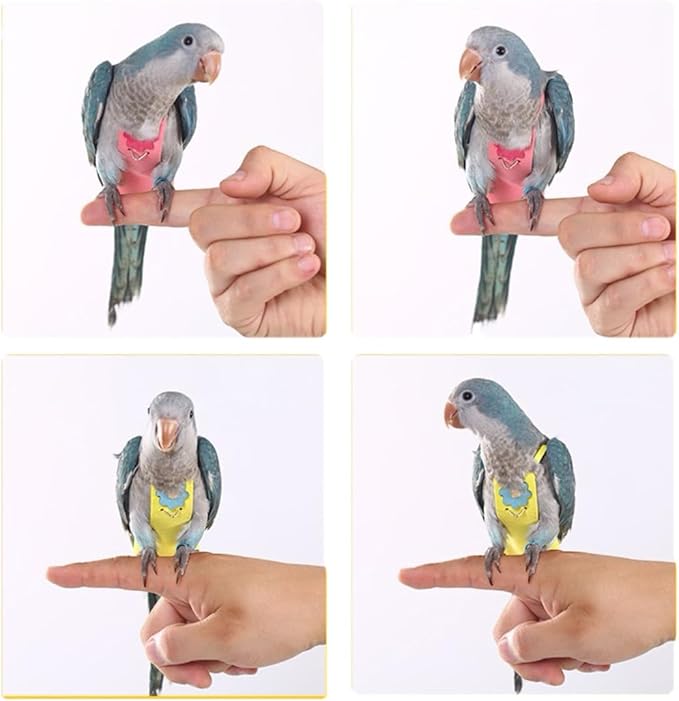 Parrot Clothes, Bird Diapers, Tiger Skin Peony, Flight Suit - Key Features for Avian Comfort and Style (Blue, M, Count, 1)