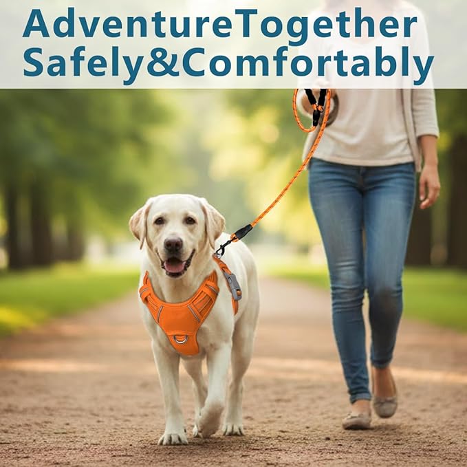 BARKBAY Dog Harness No Pull with ID Tag Pocket - Heavy Duty, Reflective, Easy Control for Large Dogs(Orange,M)