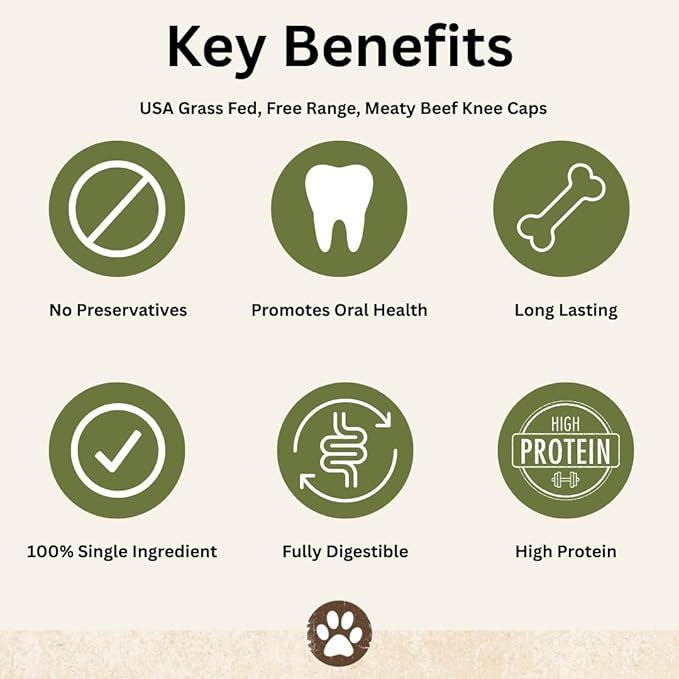 Top Dog Chews – Knee Caps, 10 Count, Dog Beef Chew Bones, Long Lasting Treats for Aggressive Chewers, Perfect for Large Medium, or Small Dogs, Made in USA