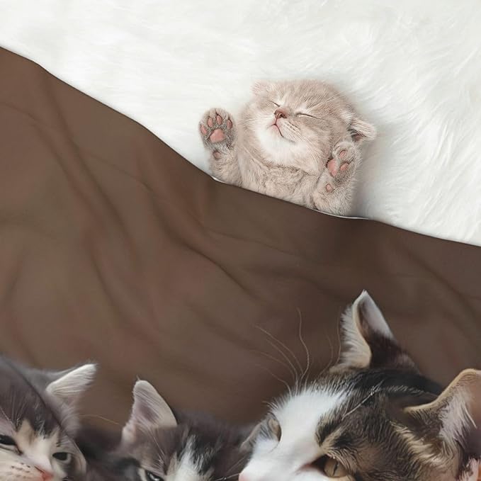 Cat Family Print Soft Plush Pet Blanket, Washable Dog Blanket, Cat Fleece Throw, Puppy Bed Crate Mat & Sofa Couch Protector - Medium