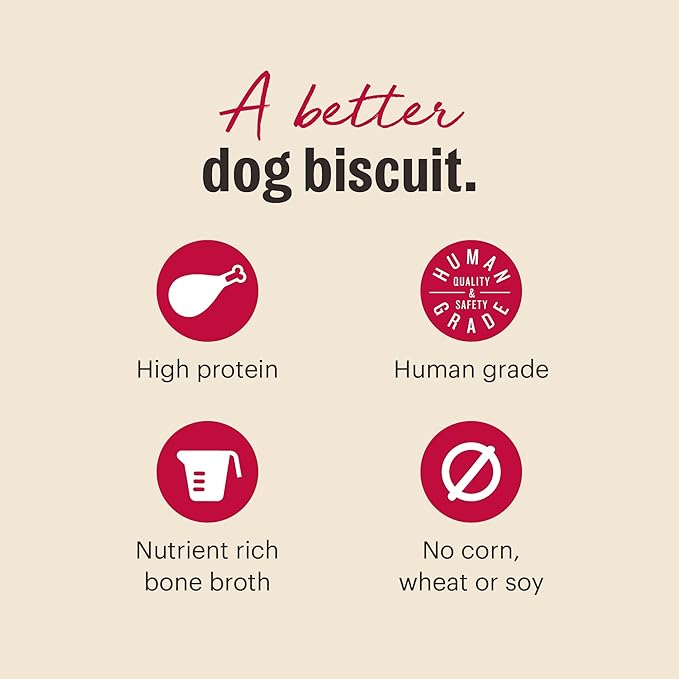The Honest Kitchen Human Grade Dog Treats Bone Broth Bites: Roasted with Turkey Bone Broth & Pumpkin, 8 oz Bag