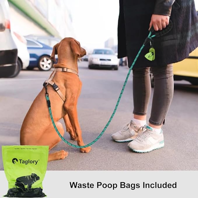 Taglory Rope Dog Leash 4 FT with Comfortable Padded Handle, Highly Reflective Threads Leash and Anti-Tangle Clip for Walking Small Dogs, 3/8 inch, Turquoise