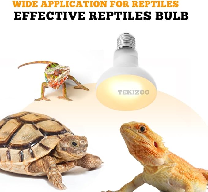 Reptile Heat Lamp UVA Basking Daylight Spot Bulb for Amphibian,Lizard,Tortoise,Bearded Dragon 75W(3 Pack)