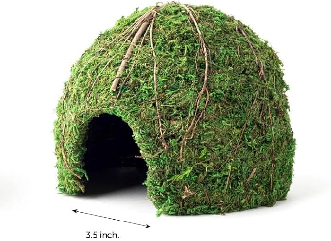 Galápagos (05368) Mossy Dome Hide - Natural Corner Cave for Reptile Enclosures, Terrariums, and Tanks, 9", Vined Green Moss