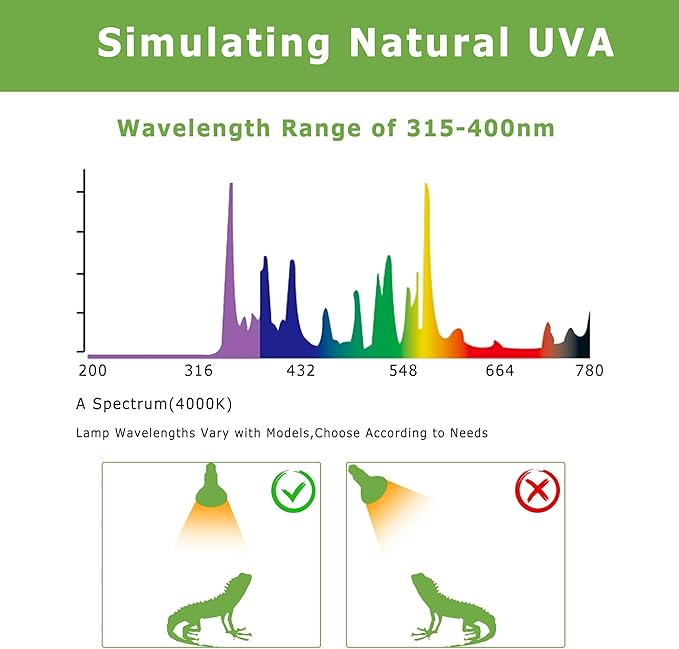 60W E26 Reptile Heat Lamp Bulbs, Upgraded UVA Basking Spot Light for Bearded Dragon, Lizard, Tortoise, Chicks & Amphibians - Simulated Natural Sunlight, Daylight Bulb fot Terrarium | 2 Pack