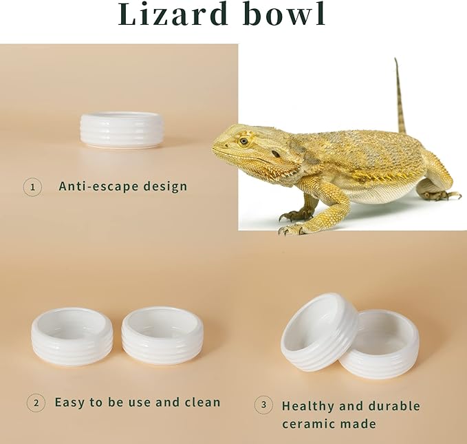 Reptile Food Bowls Ceramic Round Reptile Water Food Dish, Pet Food Bowl for Lizards, Small Snakes, Young Bearded Dragons, Gecko Tortoise Spider (White, Medium-2Pack)