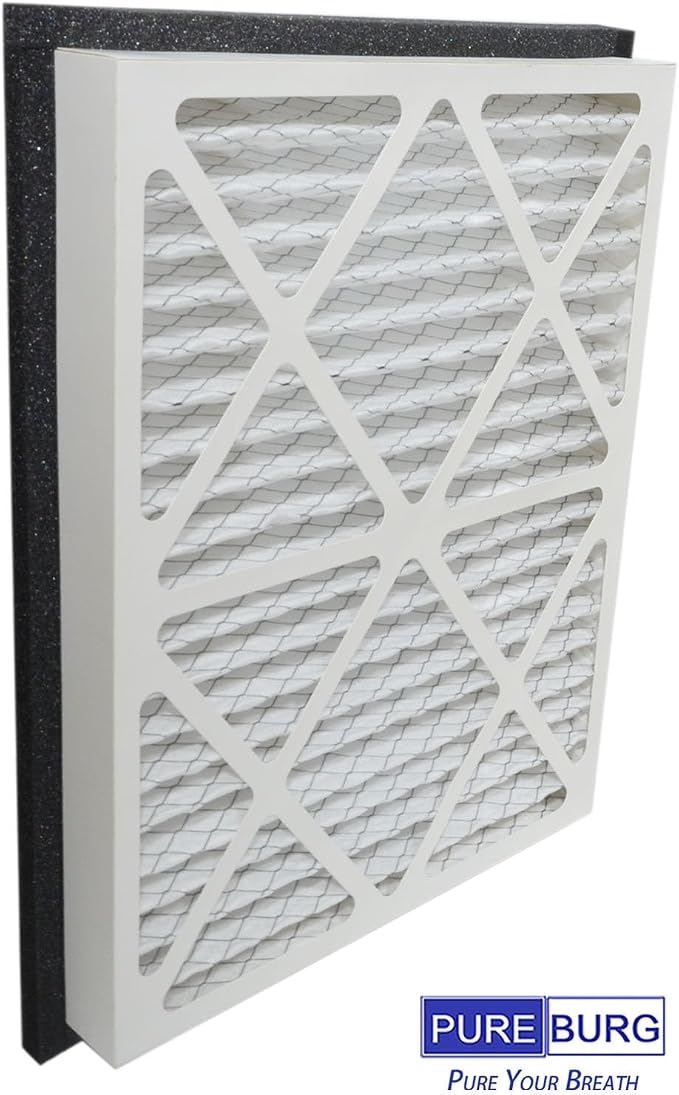 PUREBURG 20x25x3 Replacement Filter Compatible