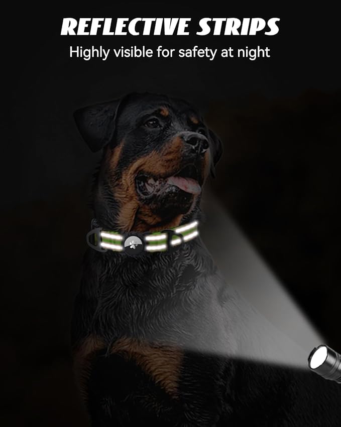 Joytale Airtag Dog Collar, Reflective Pet Collar with Waterproof AirTag Holder, Dual D-Rings, Soft Padded Adjustable for Small Dogs, Green, S