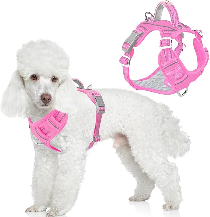 BARKBAY Dog Harness No Pull Oxford with ID Tag Pocket - Heavy Duty, Reflective, Easy Control for Large Dogs(Pink Oxford,XS)