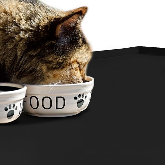 Dog Food Mat,Silicone Waterproof Food Tray,Non Slip Pet Bowl Mats Placemat,0.8" Raised Edge,Suitable for Most Small and Medium Sized Pets,28" x 18"