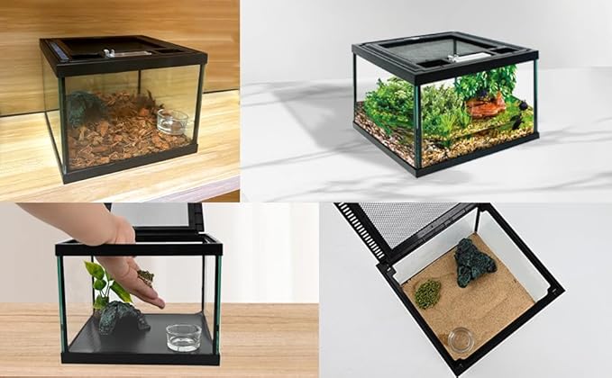 Mini Reptile Glass Tank 8 * 8 * 6inch Terrarium for Start with Top Ventilation for Turtle,Spider,Hermit Crab,Geock,Frog AMD Beard Dragon