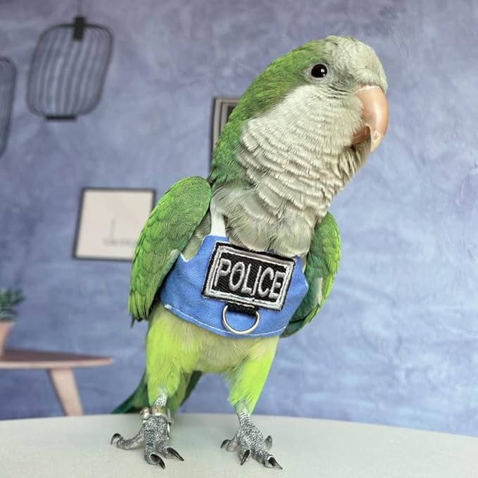 Bird Flight Harness Vest, Parrot Flight Suit with Leash, Bird Flying Clothes with Rope and Handle for Outdoor Activities (with Leash,Common Hill Myna)