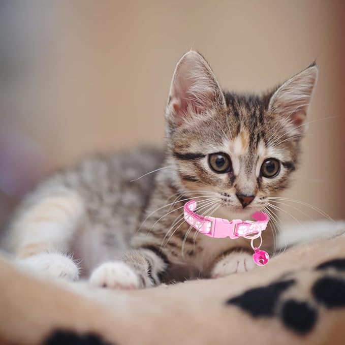 MJIYA Cat Collar with Bell, Breakaway Grid Collar with Plastic Buckle, Light Adjustable, Nylon, Kitty Collars
