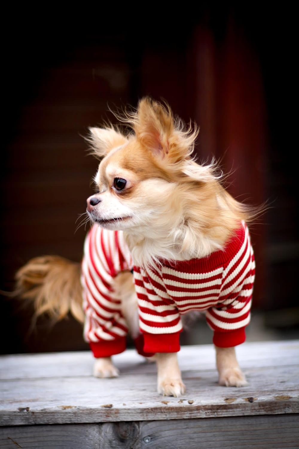 Fitwarm Red and White Striped Dog Pajamas, Waffle Dog Clothes for Small Dogs Girl Boy, Puppy Onesie with Feet, Pet Christmas Outfit, Large
