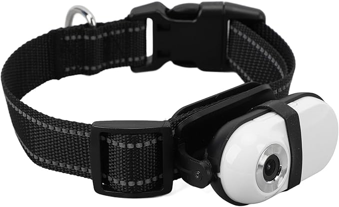 SUNGOOYUE Pet Collar Camera, 1080P HD Video Recording Adjustable Angle View with Back, for Dogs Cats Indoor Outdoor Travel Adventure (32GB)