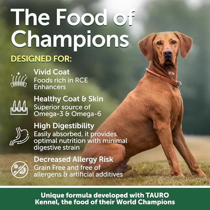 Nature's Protection Small & Large Breed Dry Dog Food Salmon - High Protein, Grain Free Tear Stain Diet - Dog Kibble for Puppy & Adult Dogs with Red Fur (Superior Care - Salmon, 8.8 lb)