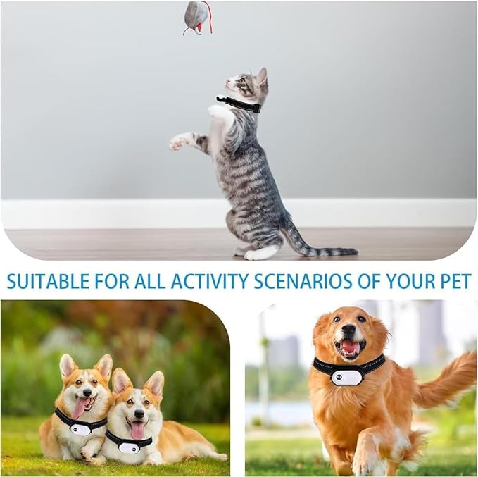 Cat Collar Camera, 1080p Pet Collar Camera, 170° Wide Angle Dog CollarCamera, Mini Ipx7 Waterproof CatsCamera, JPEG Photo and Avi Video Formats, CatCam Pro for Cats Dogs Outdoor (White)