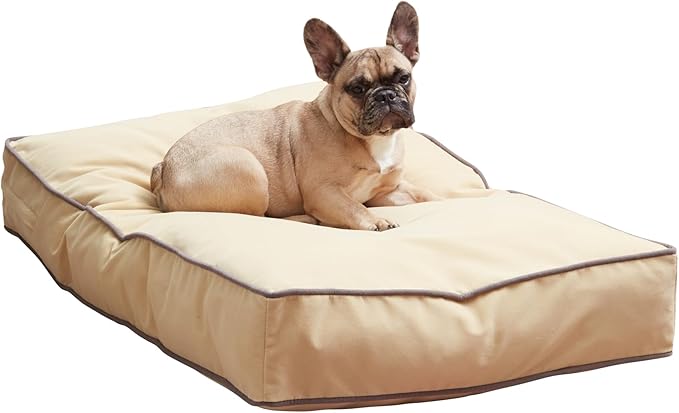 South Pine Porch Buddy Reversible Rectangle Pillow Style Microfiber Dog Bed with Removable, Machine-Washable Cover, Cream, Small (36 in. x 24 in.)