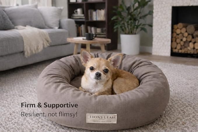 Organic Cotton Canvas Dog Bed: Removable Cover, Natural Fill - Made in USA (Gray, X Small 18" x 6" inches)
