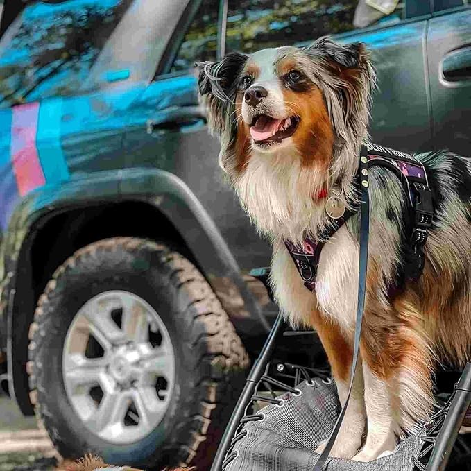 AUROTH Tactical Dog Harness for Small Medium Large Dogs No Pull Adjustable Pet Harness Reflective Working Training Easy Control Pet Vest Military Service Dog Harnesses (S, Purple Camo)
