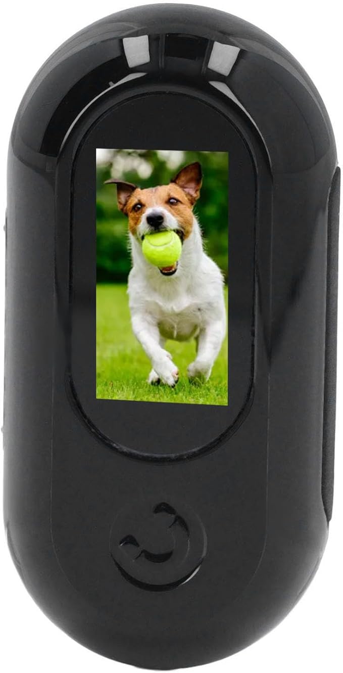Jiawu Cat Collar Camera, HD 1080P Pet Camera Collar, 120° Wide Angle Dog Collars, Mini Sport Action Cameras, Portable Cameras for Cats, Dogs, Outdoor, Inoor (Black)