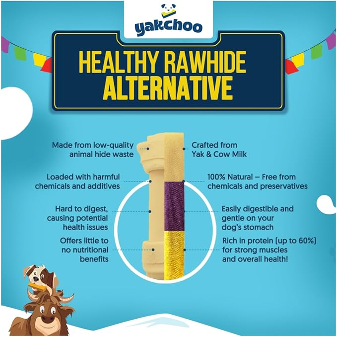 Himalayan Yak Chews for Dogs – Blueberry, Coconut & Mango | Medium Bars 70g (Pack of 3) | 100% Natural, Long-Lasting, Protein & Calcium Rich Treats for All Breeds