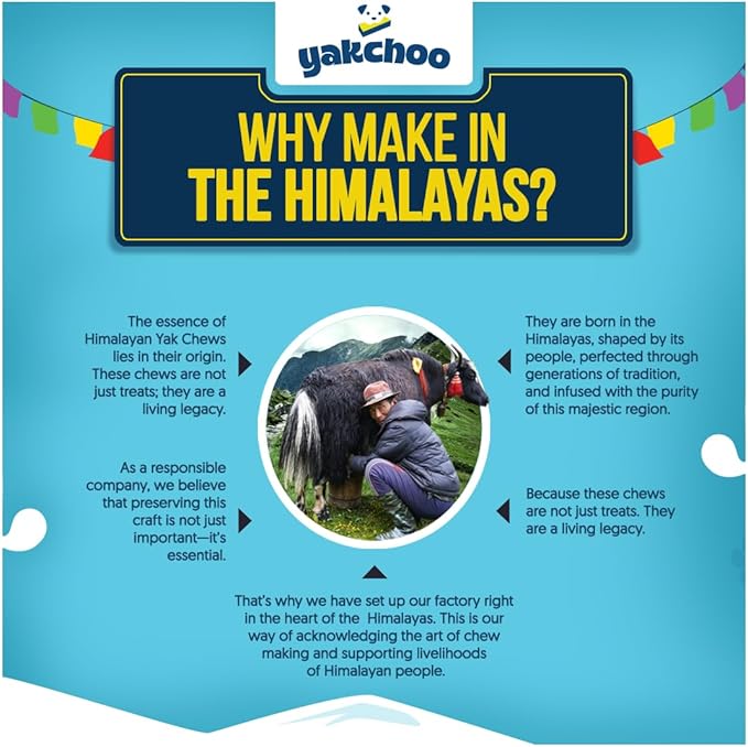 Himalayan Yak Chews for Dogs – Blueberry, Coconut & Mango | Medium Bars 70g (Pack of 3) | 100% Natural, Long-Lasting, Protein & Calcium Rich Treats for All Breeds