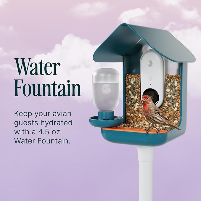 Birdbuddy 3-in-1 Nutrition Set - Outdoor Bird Accessories with Water Fountain, Fruit Spike & Jelly Tray Feeder - Durable, Easy Attachment for Bird House (Pack of 2)