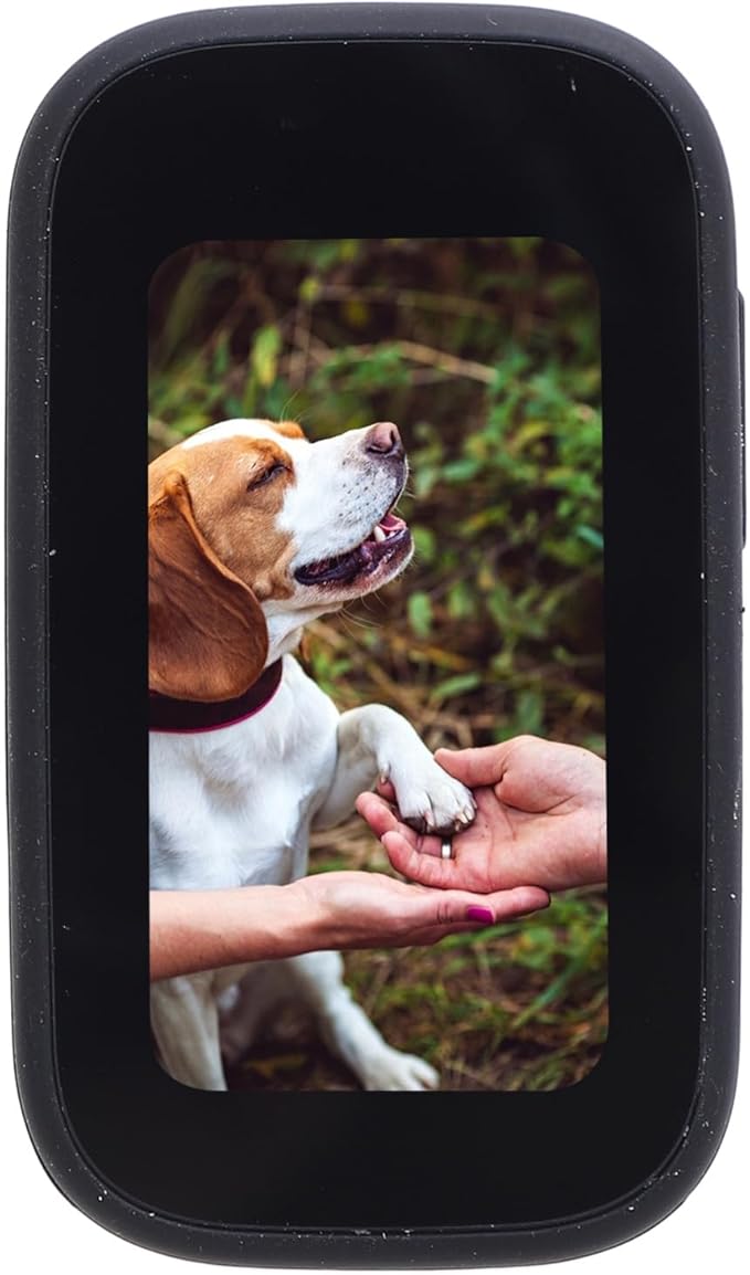 Pet Body Worn Camera, Water Portable HD Wearable Body Cam with Multiple Functions, for Cats Dogs Outdoor Travel Adventures (Black)