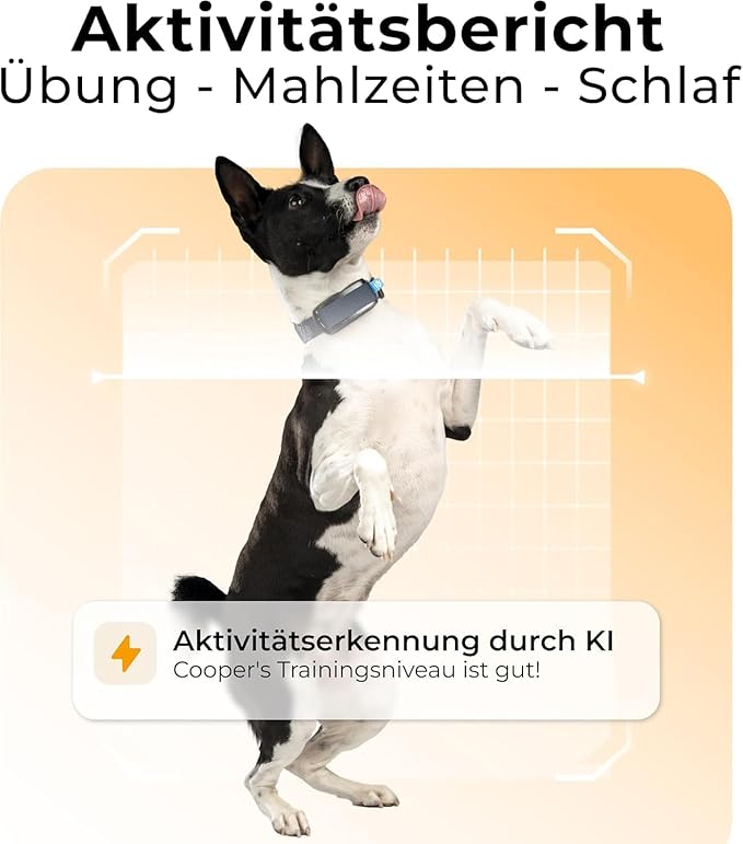 Invoxia Minitailz - Health & GPS Tracker for Dogs #1 - Cardiac and Respiratory Scan - Real-time Location - Activity and Well-Being Analysis - Compact, Lightweight, and Easy to Install