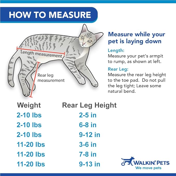 Walkin' Wheels Lightweight – for Small Cats 2 to 20 Pounds – Veterinarian Approved – Cat Wheelchair for Back Legs, for Cats 11-20 lbs, 9-13 inches Leg Height – Blue