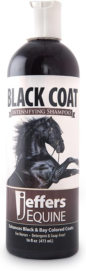 Jeffers Equine Black Coat Shampoo for Horses – Enhances Black & Bay Coats, Soap & Detergent Free, Coconut Oil Formula with Aloe & Vitamin E – Deep Cleansing Horse Grooming & Show Prep – 16 oz