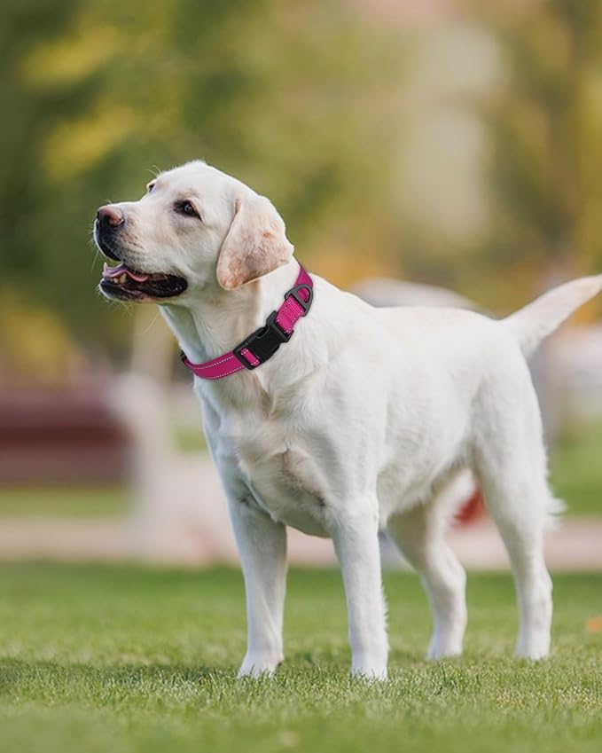 Joytale Large Dog Collar, Reflective and Adjustable Nylon Pet Collar with Quick-Release Buckle for Extra Large Dogs, Hotpink, XL