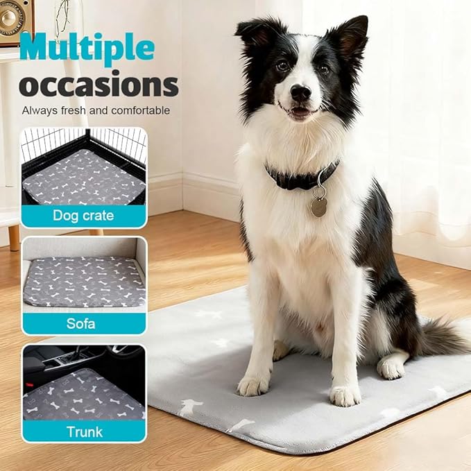 Puppy Pads for Dogs, 2026 New Washable Puppy Pads with Pheromones, Pee Pads for Dogs & Cats, Durable Leak-Proof & Anti-Slip Pet Training Pads for Home & Travel, Reusable (Red, 15.7" x 23.6")
