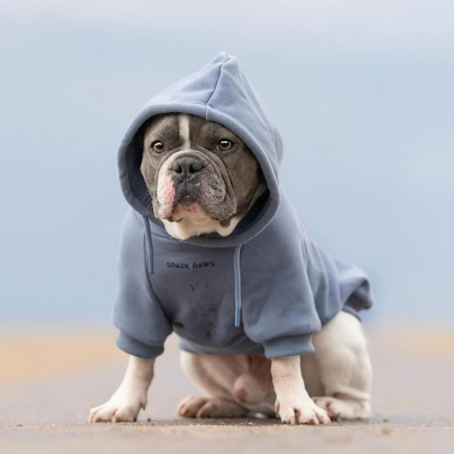 Spark Paws Dog Hoodie – Premium Dog Sweater for Small, Medium, and Large Dogs | Warm Outfits for French Bulldogs, Pitbull, Puppy, Winter Jacket Alternative - Slate Blue - 5XL