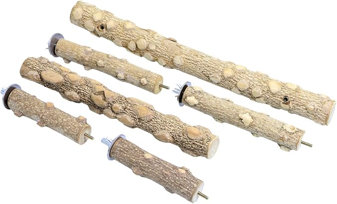 Bird Perch Stand, Bird Cage Top Perch Gym,Natural Wood Parrot Branch for Small Medium Large Parrot (S)