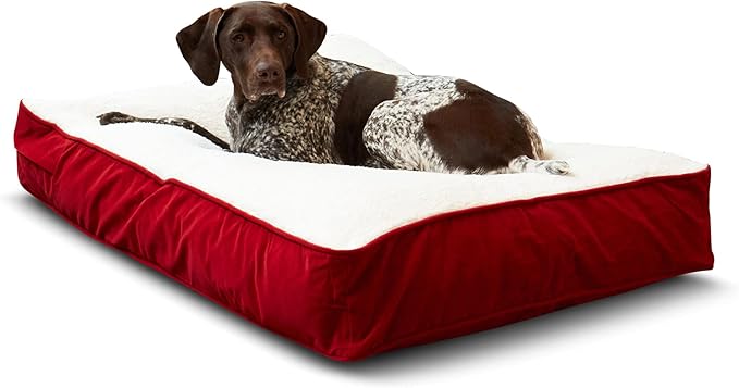 South Pine Porch Buddy Reversible Rectangle Pillow Style Microfiber and Sherpa Dog Bed with Removable, Machine-Washable Cover, Crimson Sherpa, Medium (42 in. x 30 in.)