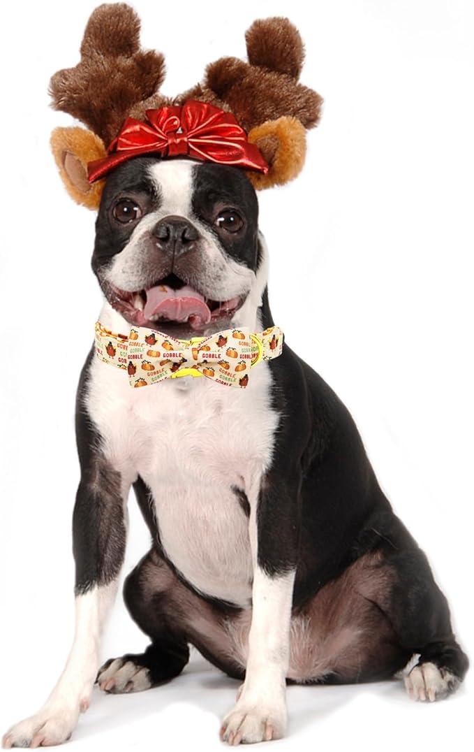 Dog Collar, Thanksgiving Turkey Pet Collar Bow Holiday Girl Boy Bow Dog Collars Puppy Collar Adjustable for X-Small Dogs