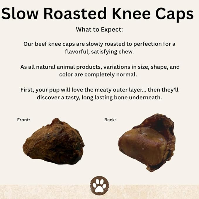 Top Dog Chews – Knee Caps, 10 Count, Dog Beef Chew Bones, Long Lasting Treats for Aggressive Chewers, Perfect for Large Medium, or Small Dogs, Made in USA